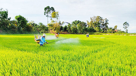 Nông nghiệp sạch là gì? Lợi ích & phương hướng phát triển tại Việt Nam?