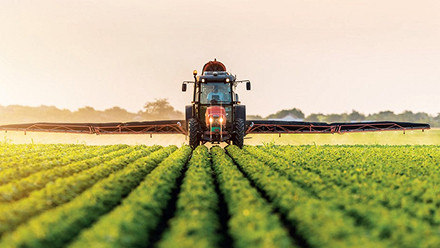 Nông nghiệp sạch là gì? Lợi ích & phương hướng phát triển tại Việt Nam?