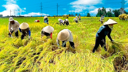 Nông nghiệp sạch là gì? Lợi ích & phương hướng phát triển tại Việt Nam?