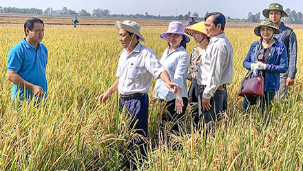 Nông nghiệp sạch là gì? Lợi ích & phương hướng phát triển tại Việt Nam?